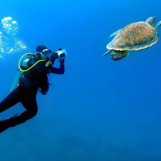 Zanzibar’s Sea Turtles