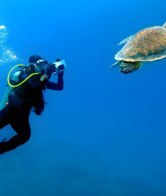 Zanzibar’s Sea Turtles