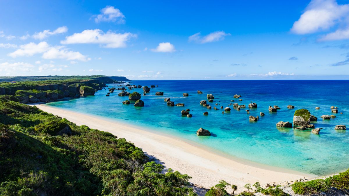 Secluded Beaches in Tokyo