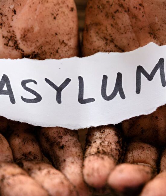 Asylum Process