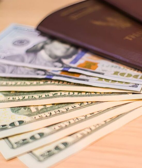 Is an Investment Visa Right for You?