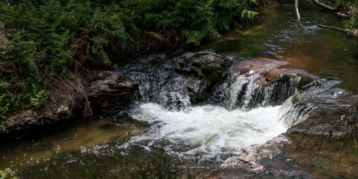 Kerosene Creek