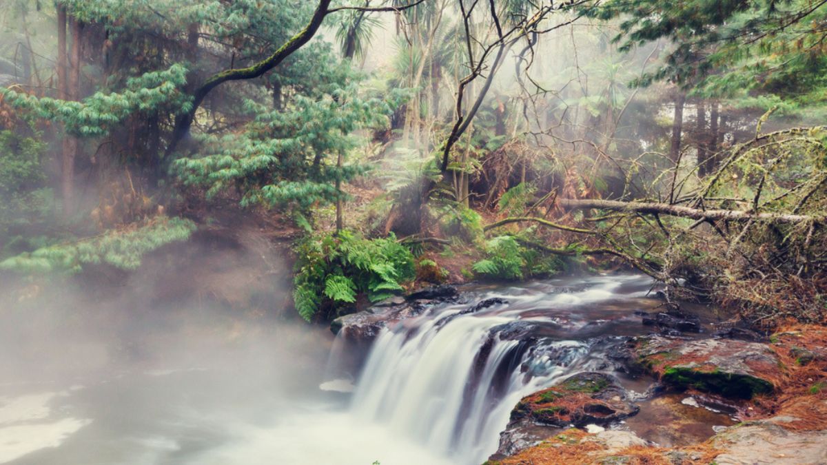 Kerosene Creek Rotorua