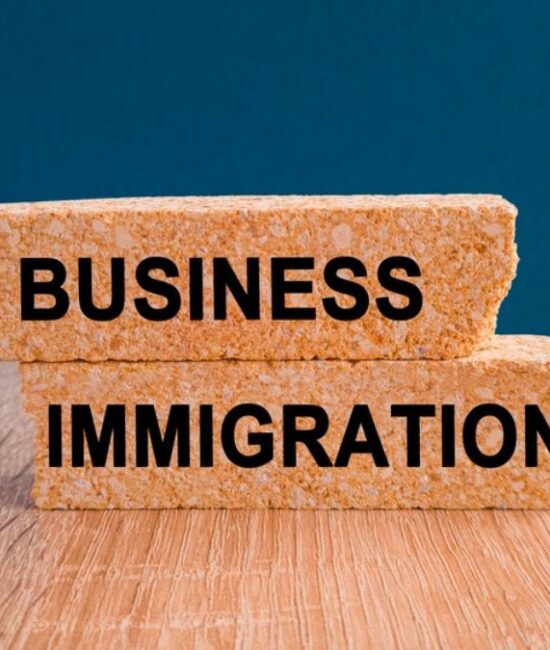 business immigration visa