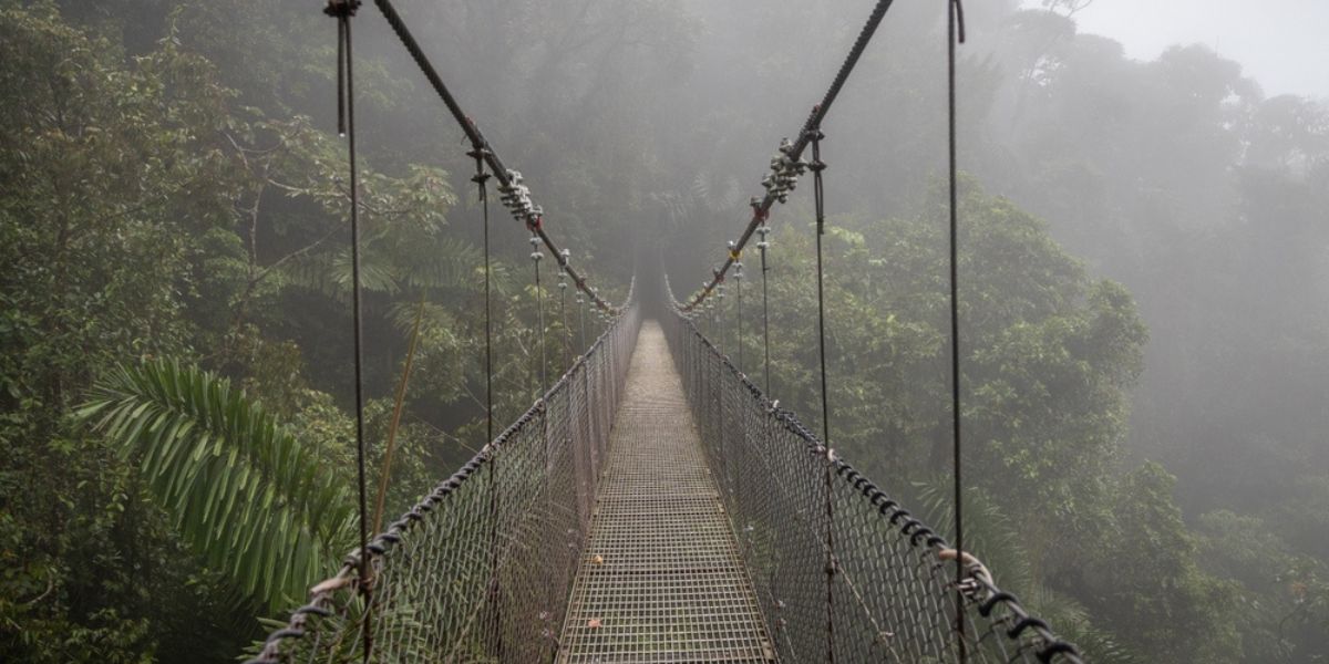 Mistico Hanging Bridges Park Arenal Costa Rica
