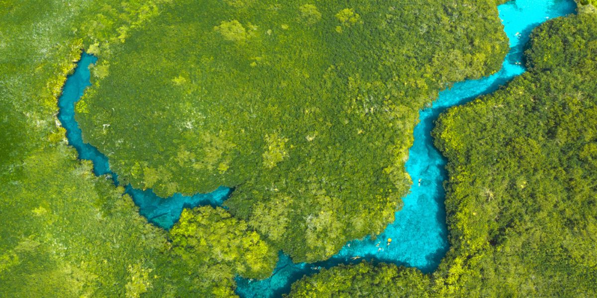 Aerial view of Casa Cenote in Tulum, Mexico
