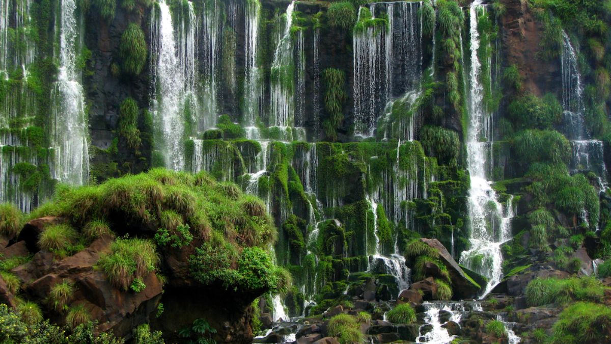 Top 12 Brazil Waterfalls in 2025