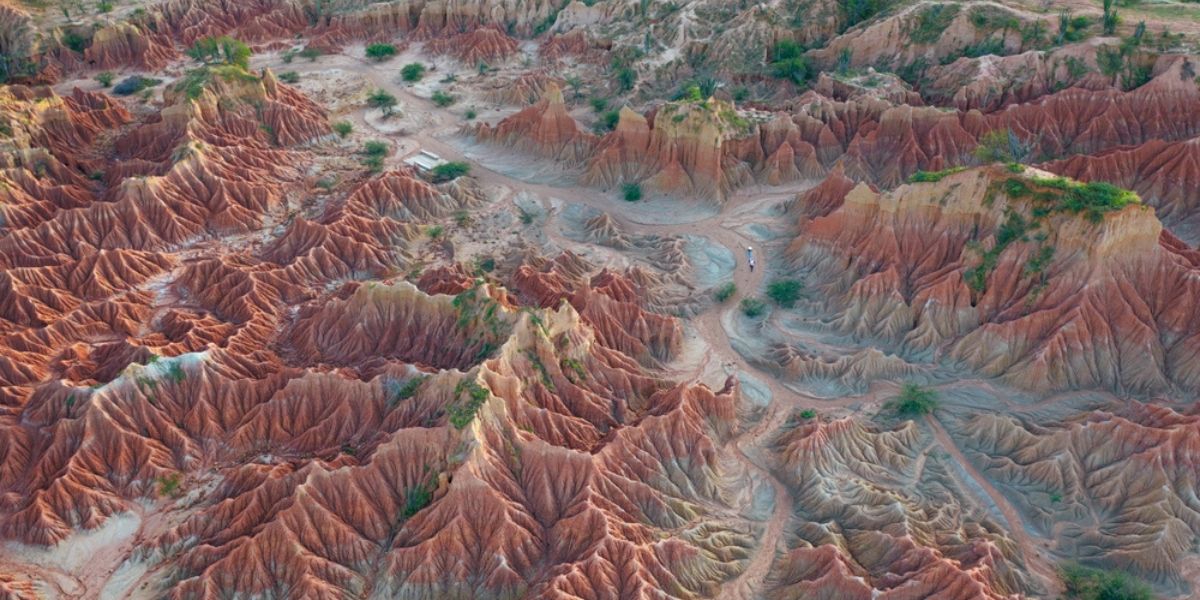red rock formations with cactus in Tatacoa desert