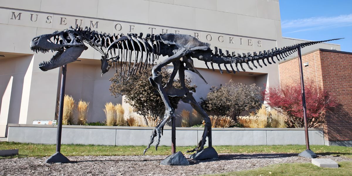 Museum of the Rockies