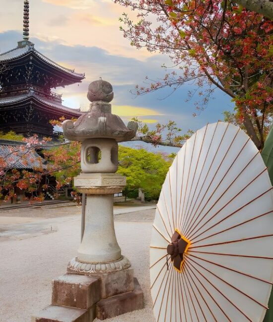 Things To Buy in Japan in 2026